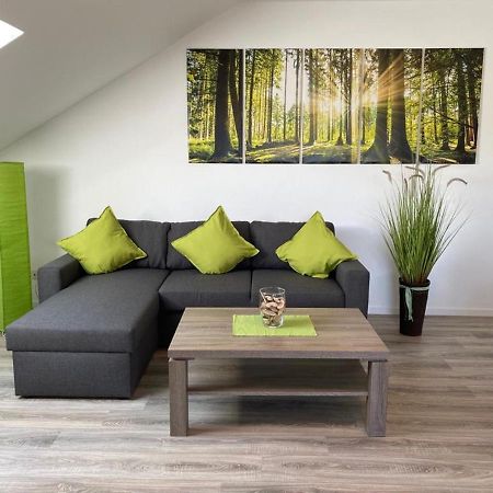 Ferienwohnung Frieda Mit Ueberdachtem Balkon 빈터베르크 외부 사진
