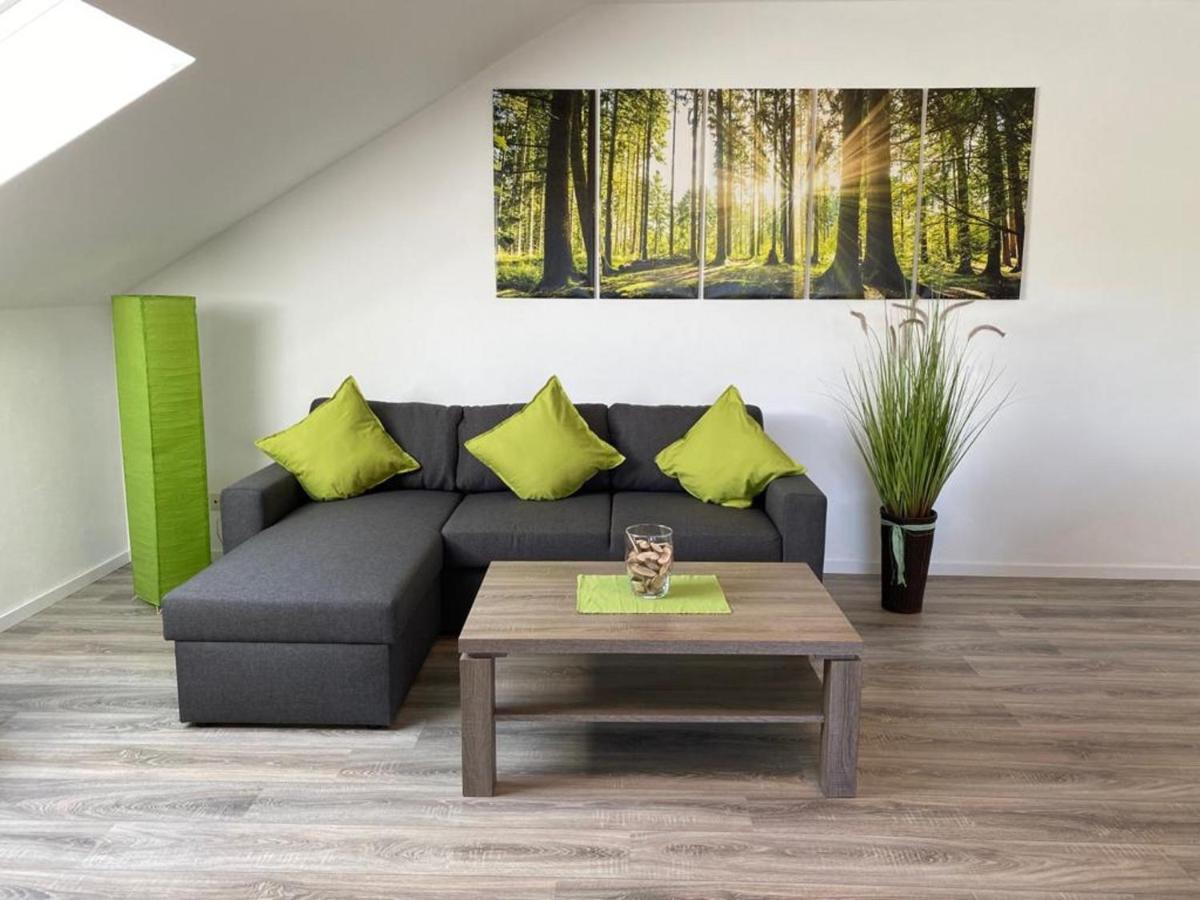 Ferienwohnung Frieda Mit Ueberdachtem Balkon 빈터베르크 외부 사진